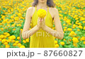 Marigold flower in woman's hands 87660827