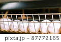 Large white chicken eggs are produced by laying hens sitting in huge cages under low light in a large poultry farm. 87772165