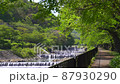 Fresh green Miyagino Hayakawa promenade along the bank Hakone Gora Kanagawa Prefecture 87930290