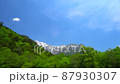 Fresh green Kamikochi Nagano Prefecture 87930307