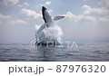 Humpback whale jumps out of the water 87976320