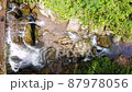 Rio Tigre waterfall in the jungle of Oxapampa in Peru 87978056