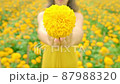 A woman holding a marigold flower at her chest in a prayer  87988320