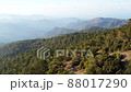 Scenic mountainside landscape with green coniferous forest. Troodos, Cyprus 88017290