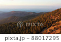 Coniferous forest and Troodos mountains in a picturesque sunset light. Cyprus 88017295