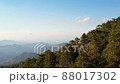 Mountain forest with green coniferous trees. Troodos, Cyprus 88017302