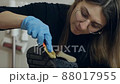 A beautiful young woman brushes her shoes before going to work. Shoe care at home 88017955