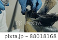 Painting and restoration of shoes at home. Close-up of a woman's hands in gloves, takes care of her shoes, sprays paint on shoes, changing its color 88018168