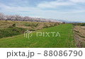 加治川の桜（空撮） 88086790