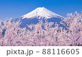 富士山と風に揺れる満開の桜・青空へ舞い上がる花びら / ループ再生可能 / 3Dモーション