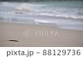 在海灘的海灘 88129736