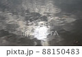 水辺勅使公園_2021年12月 88150483