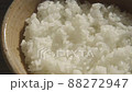 美味的雞蛋蓋飯 88272947