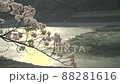 朝日に照らされて川を背景に風に揺れる桜 88281616