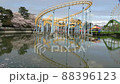 Spring swamp and cherry blossoms 88396123