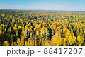 Forest In north of Russia, Saint-petersburg. Aerial footage with wilderness and pines. autumn vibe 88417207