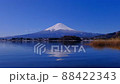 20220405河口湖大石公園からの青空の富士山 20220405河口湖大石公園からの青空の富士山 88422343