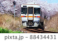 桜並木とキハ25 88434431