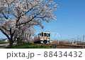 桜とキハ25 88434432