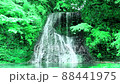 Shigeki不動瀑布 88441975