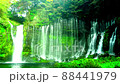 Shiraito瀑布 88441979
