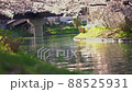 Sakura blizzard dancing in the flow of the river 88525931