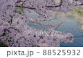 Cherry blossoms in full bloom and the flow of the river 88525932