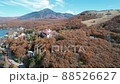 白樺湖秋葉無人機航拍秋天在長野 88526627