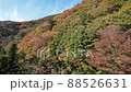 富士五湖秋葉無人機航拍山梨秋 88526631