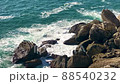 Huge Sea Waves Crashing On Rock at the sea coast. Cormorants perched on a cliff. 88540232