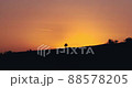 Beautiful golden orange sunrise behind isolated single tree 88578205