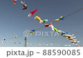 Ukrainian flag and carp streamer 88590085
