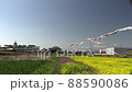 Rape blossoms and carp streamers 88590086