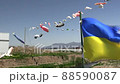 Ukrainian flag and carp streamer 88590087