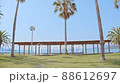 Tropical palm trees and blue sky resort sea 88612697