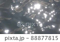 萬能池的水面（在水面上移動的陽光反射）[香川縣中多戶區萬能町] 88877815