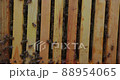 Honey bees climb wooden frames close up 88954065