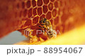 Working bee on honeycomb. 88954067