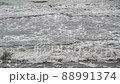 Muddy sea water after the rain. Stormy weather on the coast. Grey waves of the sea. 88991374