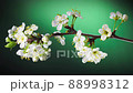 Blossoming Apple Tree Branch on Green Background Vertical Cropping 88998312