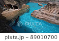 Sea lions frolicking with friends_01 89010700