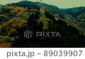 Downhill scenery material from the ropeway 89039907
