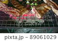 Pork ribs and barbecue on grill in dinner party. Food, people and family time concept. Tilt up shot. 89061029