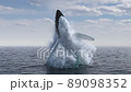 Humpback whale jumps out of the water, stop motion effect 89098352