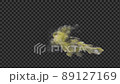 色付きの煙 89127169
