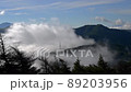 山の中の雲海　タイムラプス 89203956
