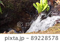 雪解けの水の流れ 89228578