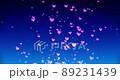 Fluffy heart glitter IN OUT 89231439