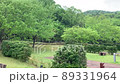 広島県世羅町「芦田湖キャンプ場」での雨上がりの新緑風景 89331964