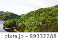 広島県世羅町「芦田湖」での雨上がりの新緑風景 89332288